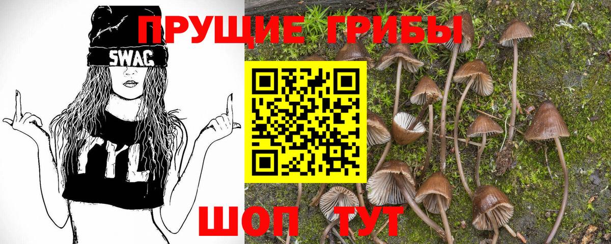 цены   Вход с VPN  Ульяновск  Псилоцибиновые грибы GOLDEN TEACHER 