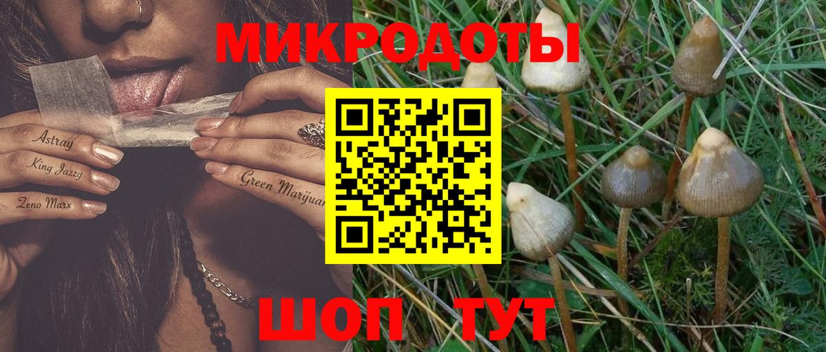Галлюциногенные грибы GOLDEN TEACHER Ульяновск